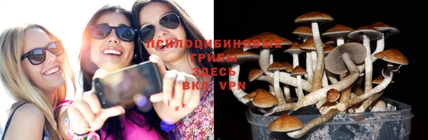 амф Армянск
